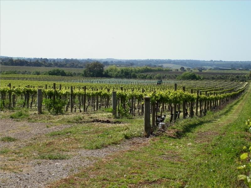 Lot 118 Binney Road, Willunga SA 5172