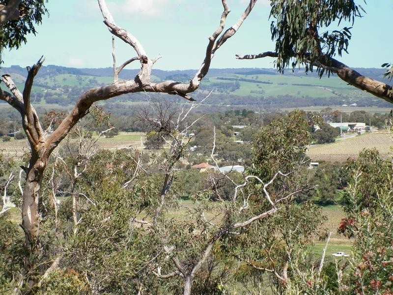 Lot 12 Chalk Hill Road, Mclaren Vale SA 5171
