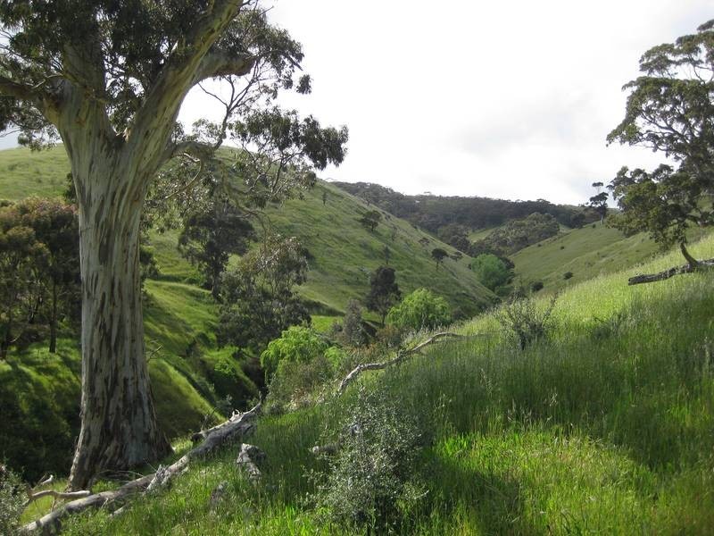 Section770 Kings Hill Road, Willunga SA 5172