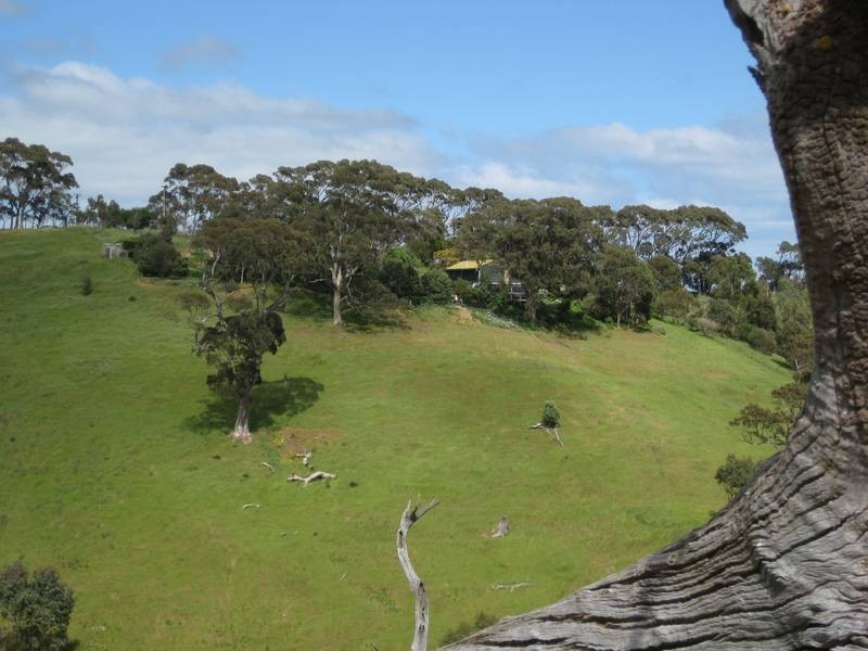 Section770 Kings Hill Road, Willunga SA 5172