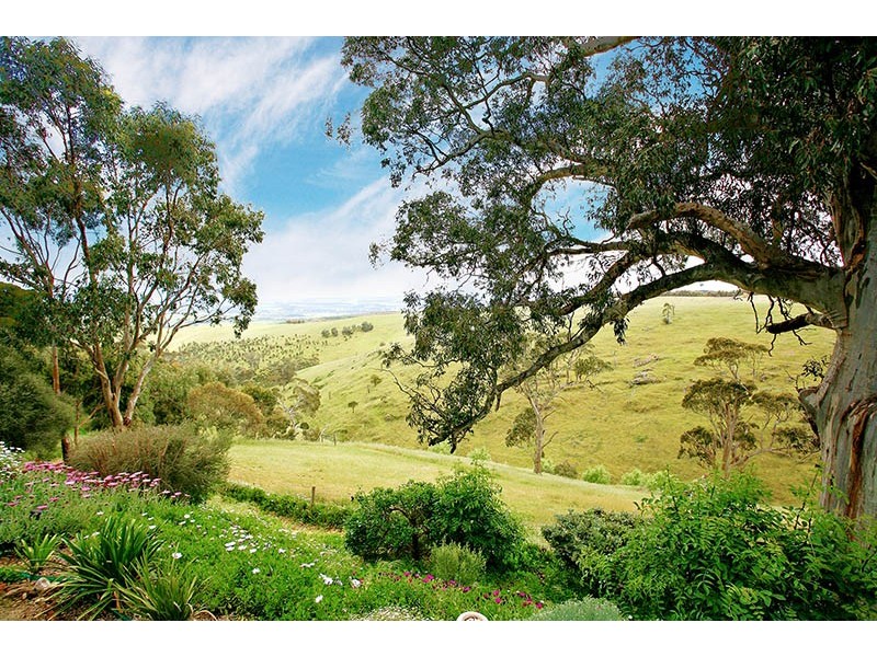 Section770 Kings Hill Road, Willunga SA 5172