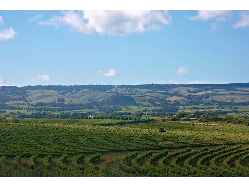 40 Valley View Drive, Mclaren Vale SA 5171