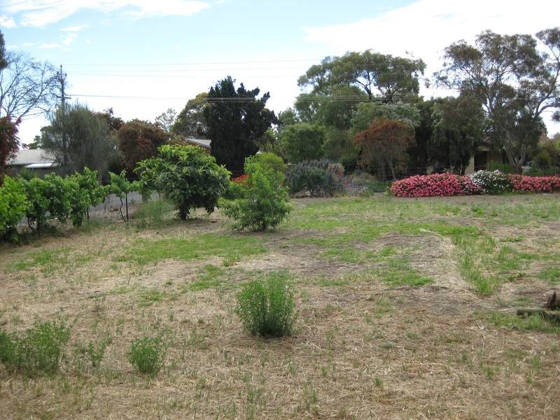 18 Kitto Crescent, Aldinga Beach SA 5173