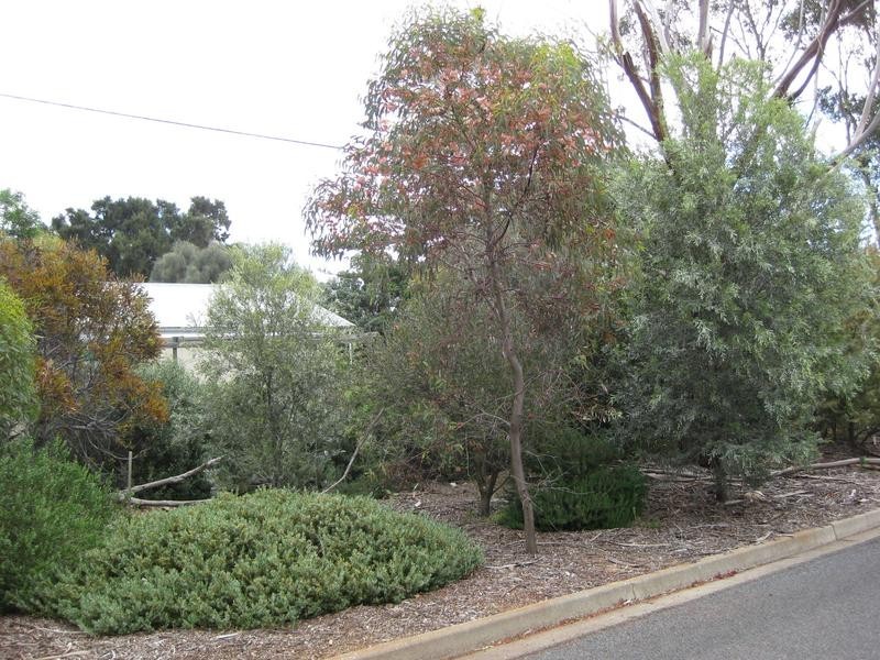 18 Kitto Crescent, Aldinga Beach SA 5173