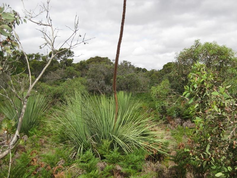 Lot 9,  Heifer Lane, Mount Compass SA 5210