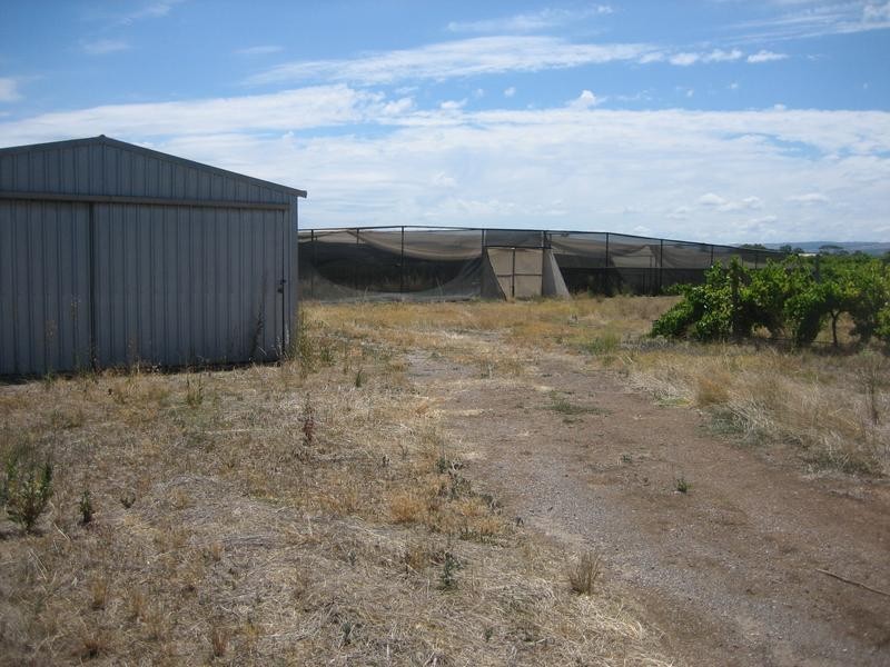 Lot 1, Colville Road, Willunga SA 5172