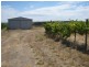 Lot 1, Colville Road, Willunga SA 5172
