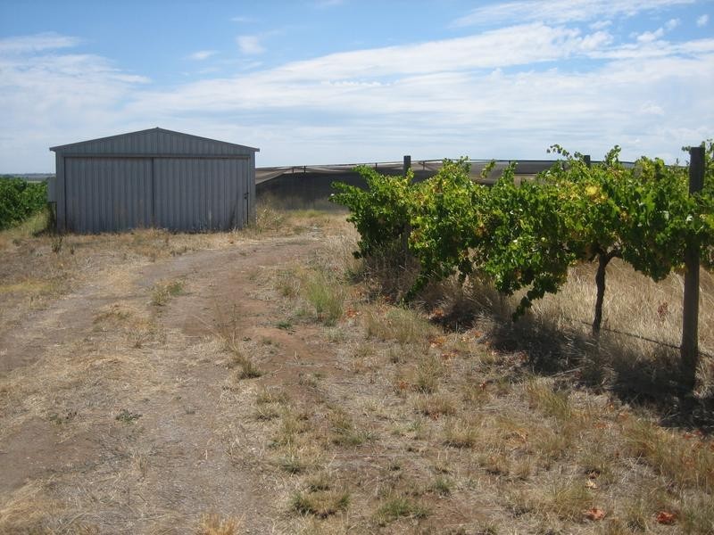Lot 1, Colville Road, Willunga SA 5172