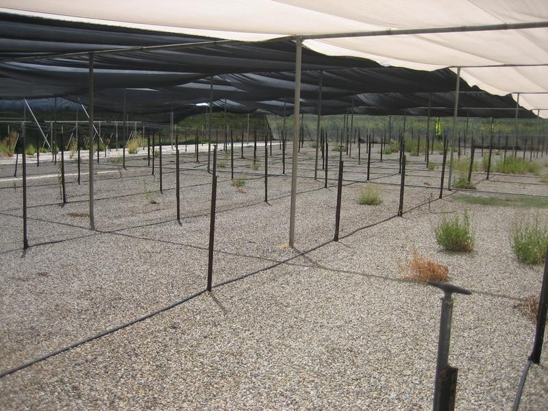 Lot 1, Colville Road, Willunga SA 5172
