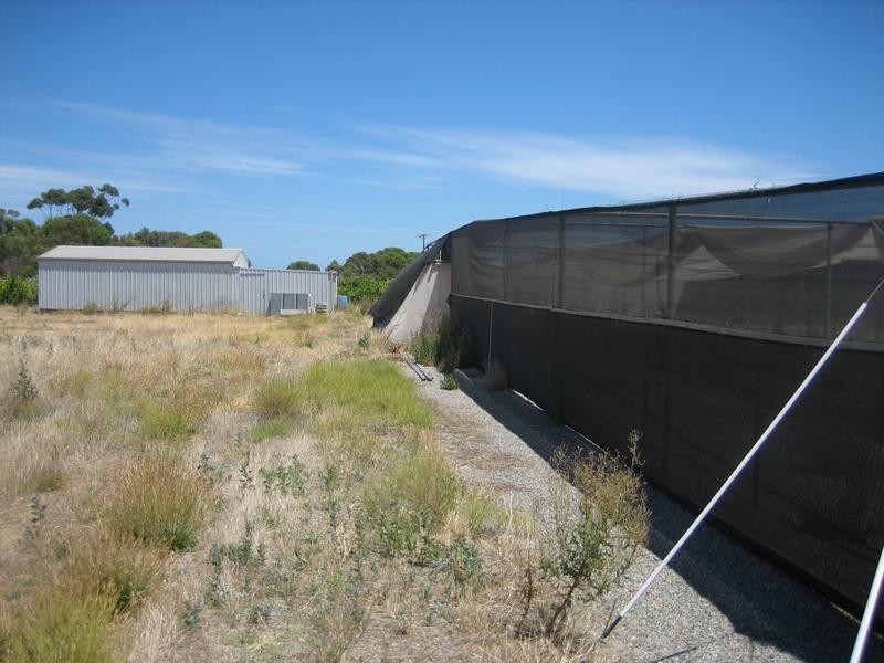 Lot 1, Colville Road, Willunga SA 5172