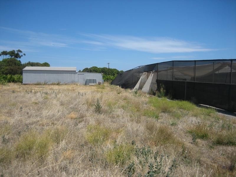Lot 1, Colville Road, Willunga SA 5172