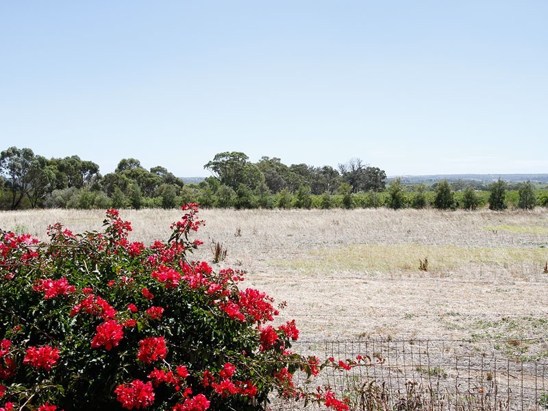 67 Gaffney Road, Willunga SA 5172