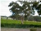 L 683, 684 Glory Road, Kangarilla SA 5157