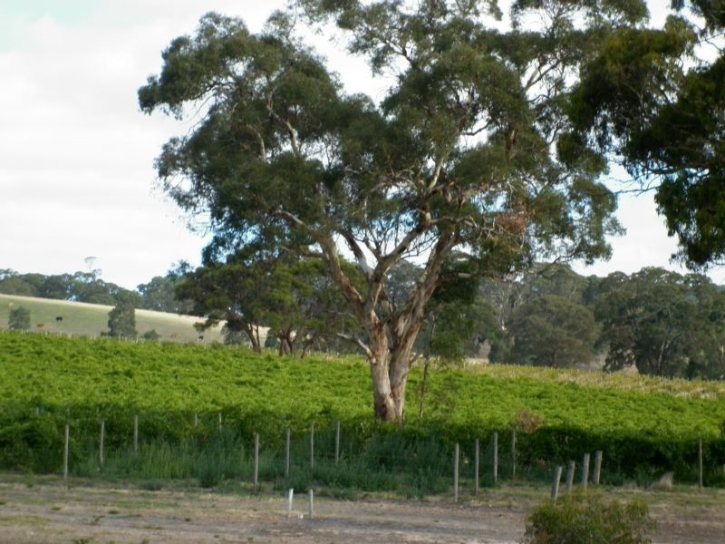 L 683, 684 Glory Road, Kangarilla SA 5157