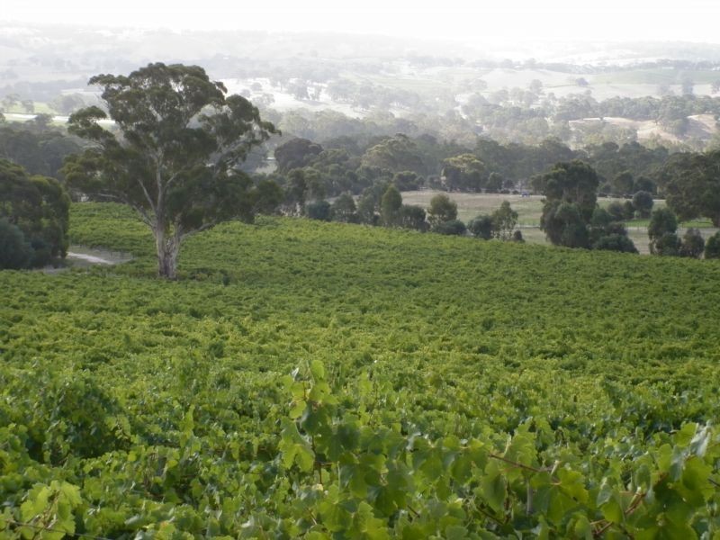 L 683, 684 Glory Road, Kangarilla SA 5157