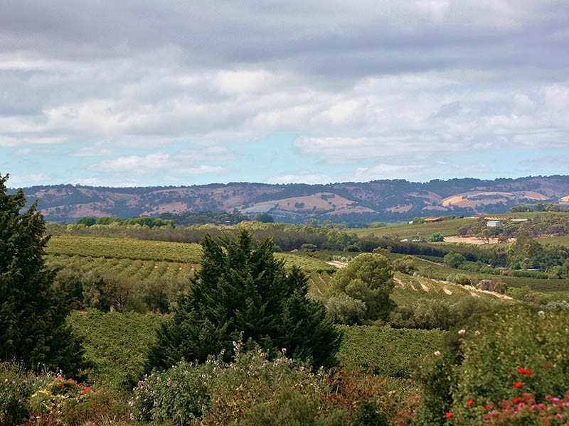 Lot 2 Stump Hill Road, Mclaren Vale SA 5171