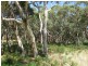 Lot 676 Goolwa Road, Mount Compass SA 5210