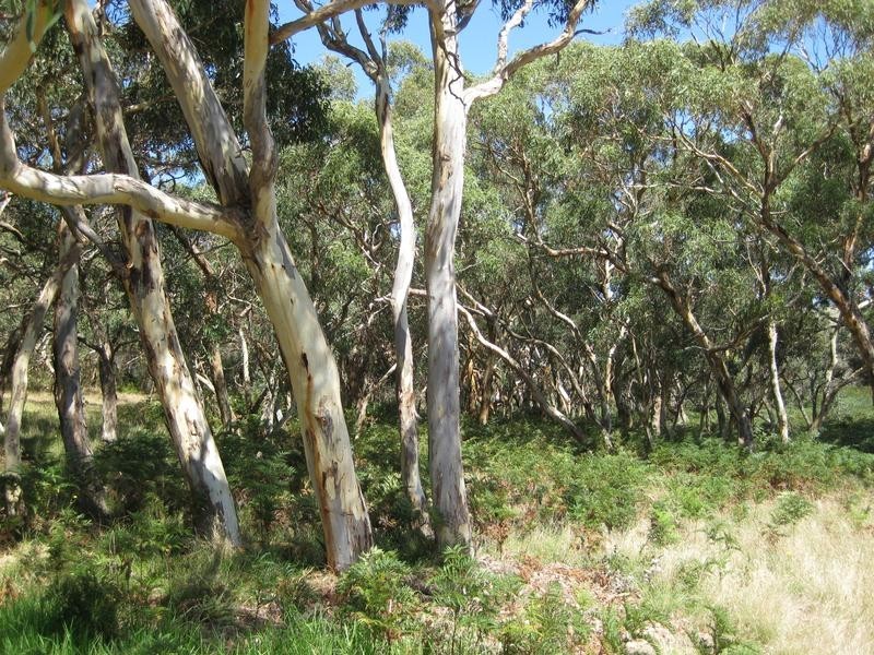 Lot 676 Goolwa Road, Mount Compass SA 5210