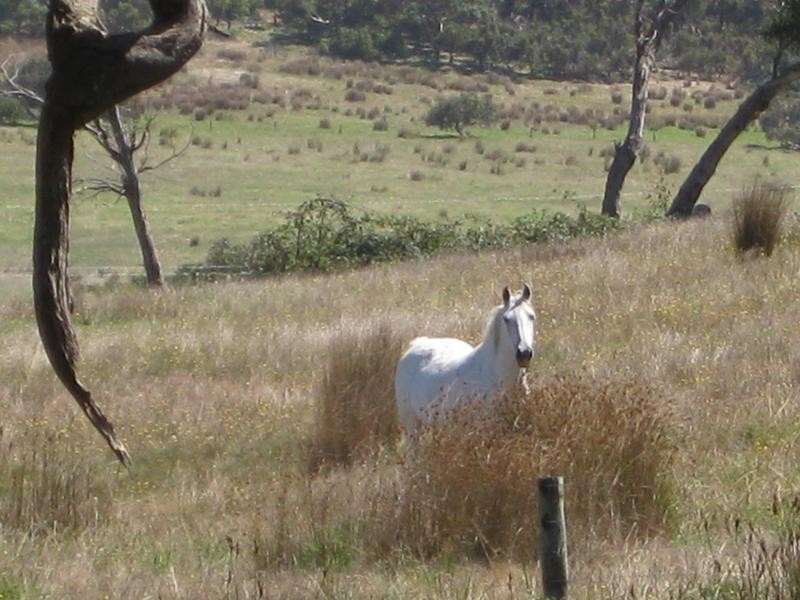 Lot 676 Goolwa Road, Mount Compass SA 5210