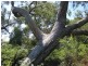 Lot 676 Goolwa Road, Mount Compass SA 5210