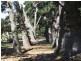 Lot 676 Goolwa Road, Mount Compass SA 5210