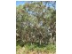 Lot 676 Goolwa Road, Mount Compass SA 5210