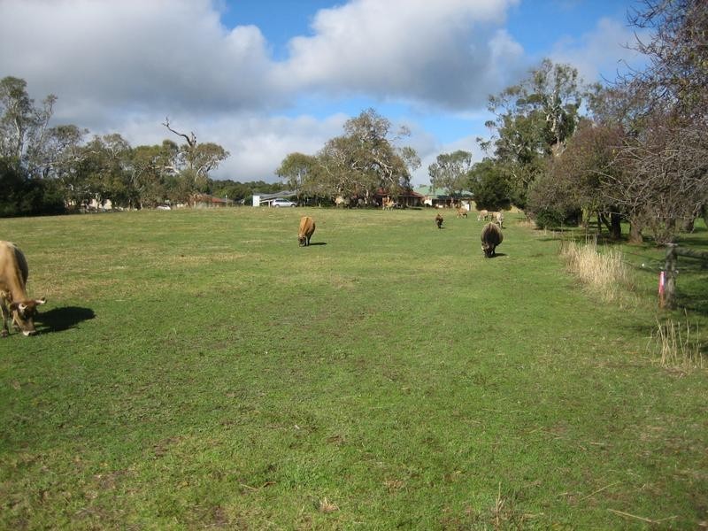 Lot 101 Hall Road, Willunga SA 5172