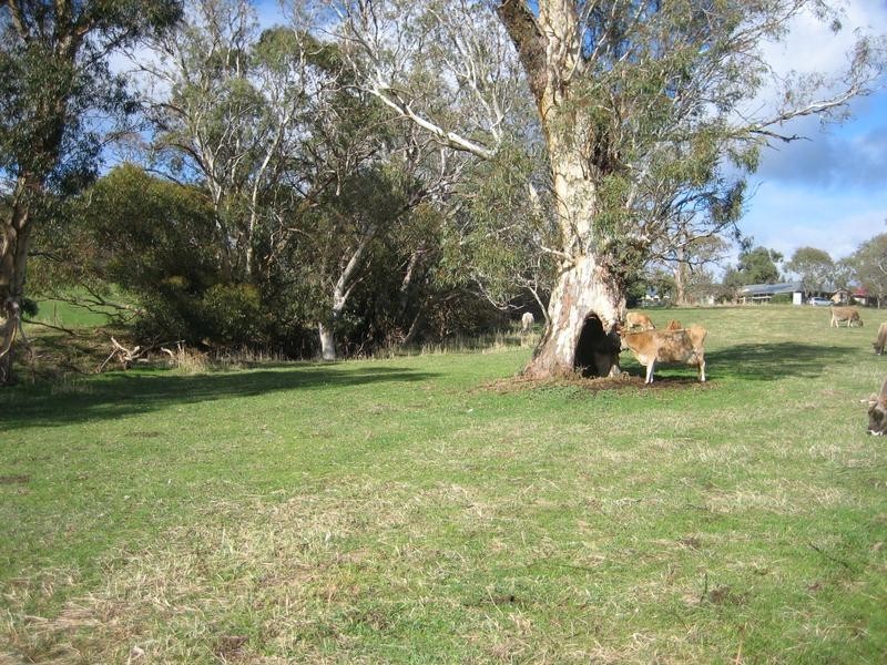 Lot 101 Hall Road, Willunga SA 5172