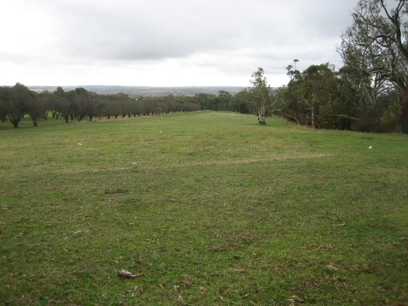 Lot 101 Hall Road, Willunga SA 5172