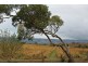 58 Valley View Drive, Mclaren Vale SA 5171