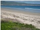 3 Morgan Street, Aldinga Beach SA 5173