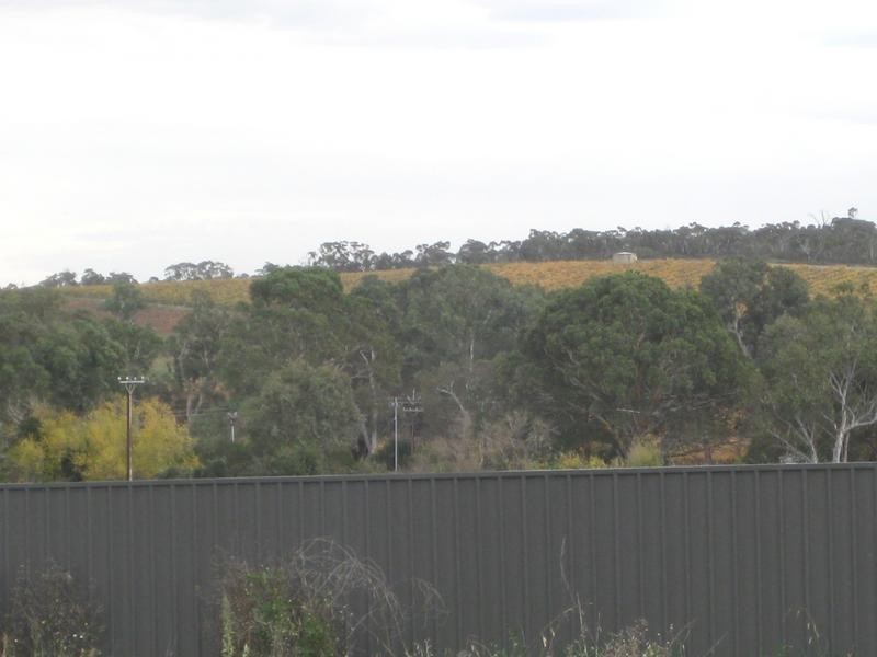 Lot 14 Swift Grove, Mclaren Flat SA 5171