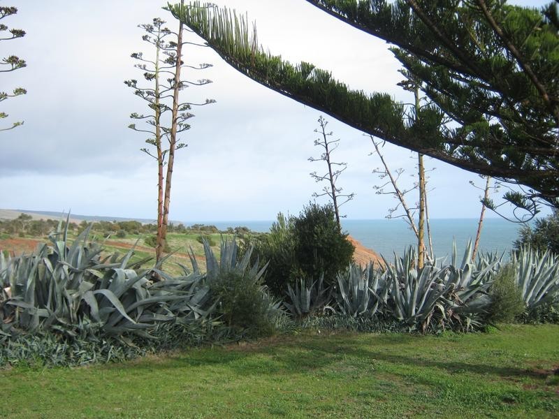 7 Esplanade, Sellicks Beach SA 5174