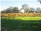 382 McMurtrie Road, Mclaren Vale SA 5171