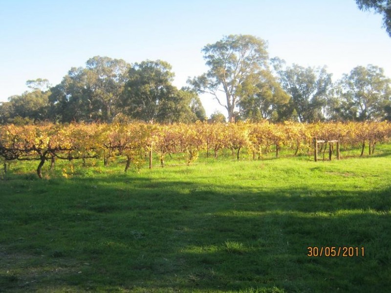 382 McMurtrie Road, Mclaren Vale SA 5171