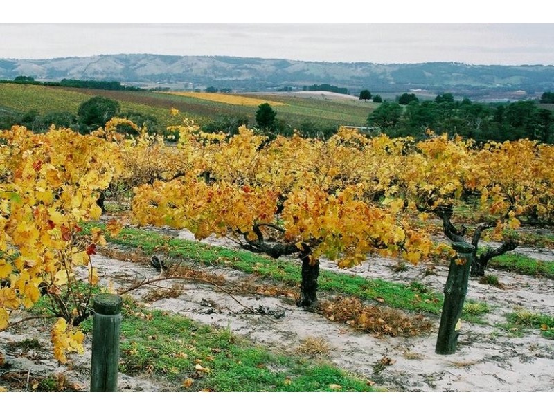 9A Pridmore Avenue, Mclaren Vale SA 5171