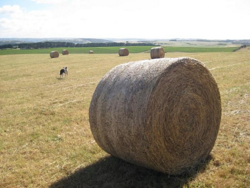 Lot 11 Victor Harbor Road, Mount Jagged SA 5211