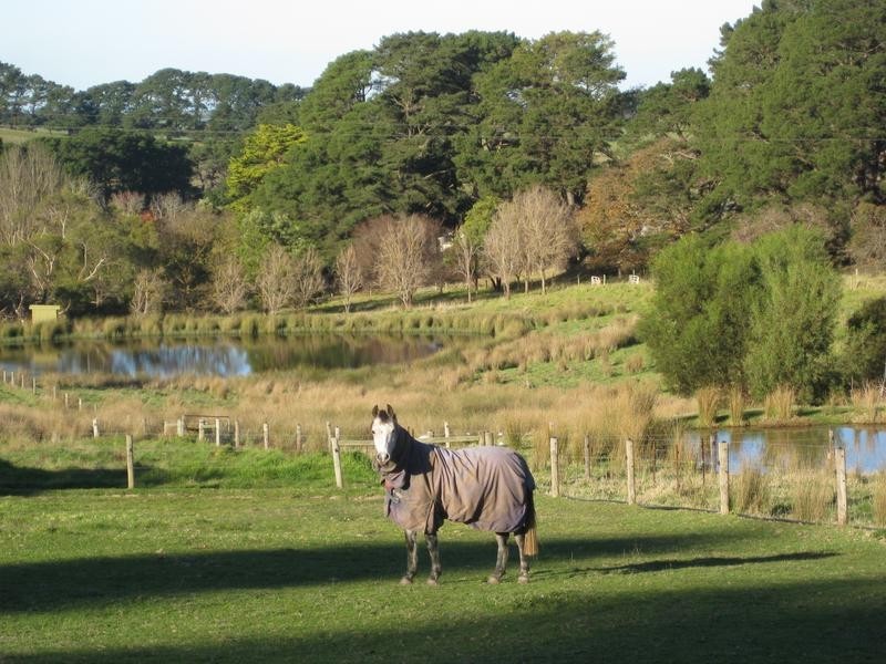 Lot 11 Victor Harbor Road, Mount Compass SA 5210