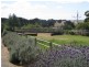 Lot 11 Victor Harbor Road, Mount Compass SA 5210