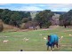 Lot 11 Victor Harbor Road, Mount Compass SA 5210