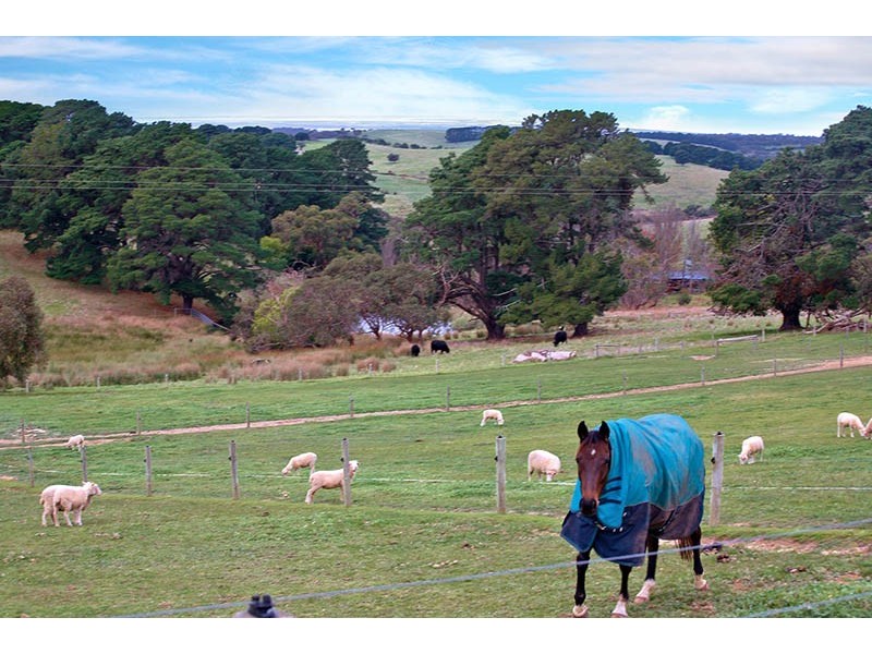 Lot 11 Victor Harbor Road, Mount Compass SA 5210
