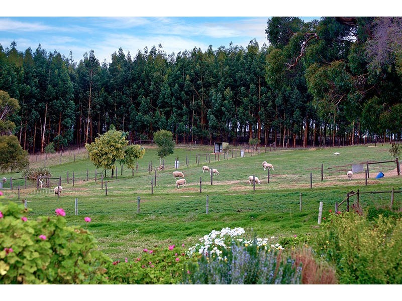 Lot 11 Victor Harbor Road, Mount Compass SA 5210