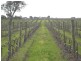 Lot 200 Malpas Road, Mclaren Vale SA 5171