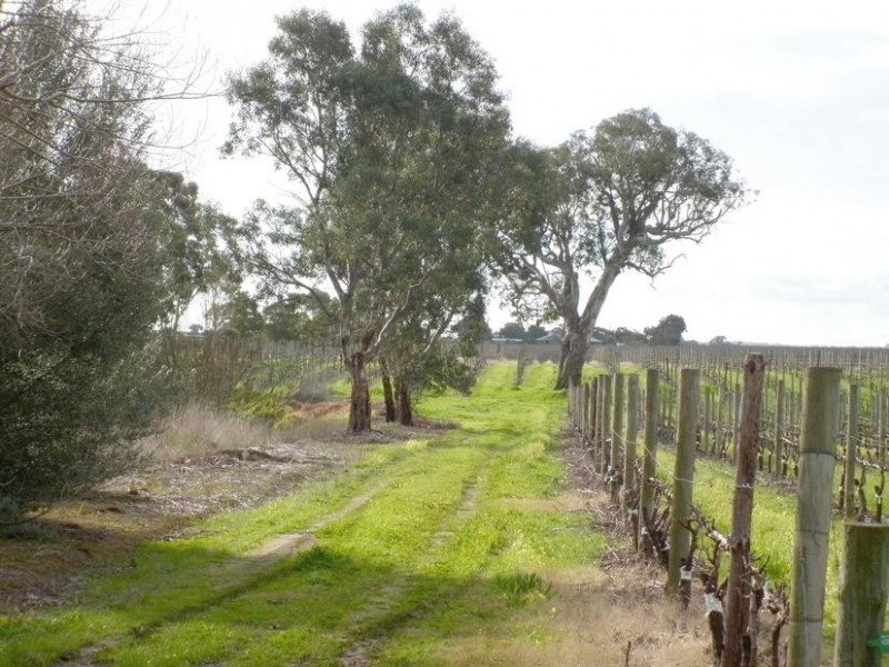 Lot 200 Malpas Rd, Mclaren Vale SA 5171