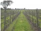Lot 200 Malpas Rd, Mclaren Vale SA 5171