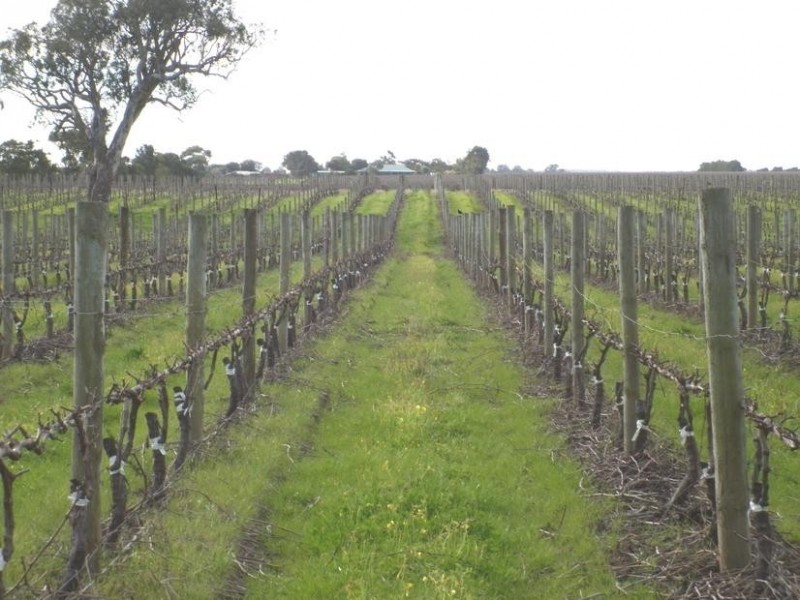 Lot 200 Malpas Rd, Mclaren Vale SA 5171