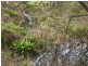 Lot 200 Malpas Rd, Mclaren Vale SA 5171