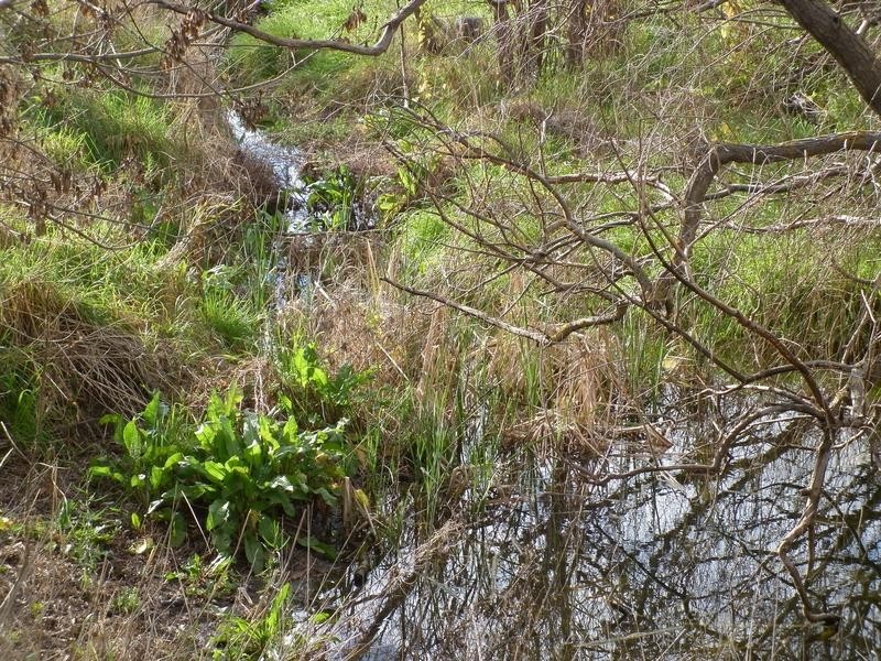 Lot 200 Malpas Rd, Mclaren Vale SA 5171
