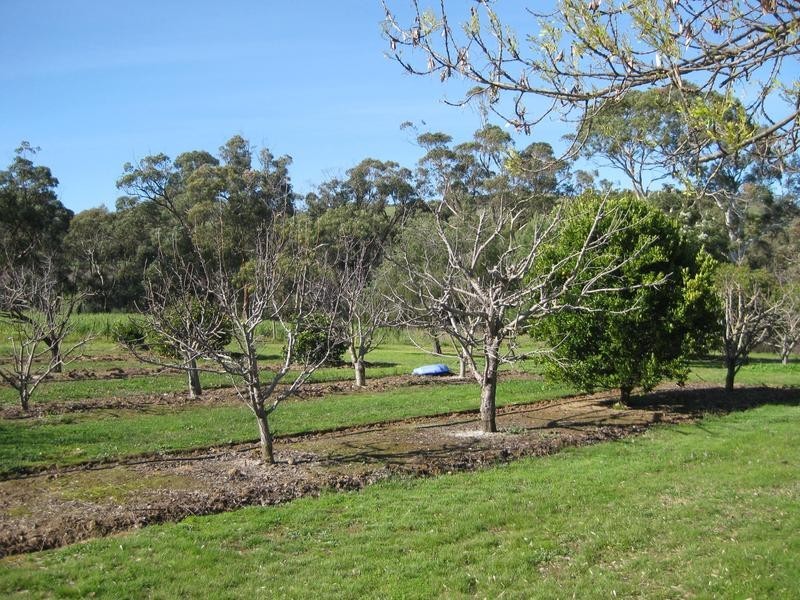 Lot 200 Elliott Road, Mclaren Vale SA 5171