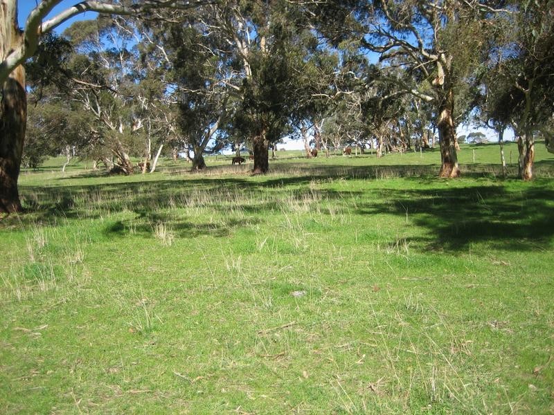 Mount Compass SA 5210